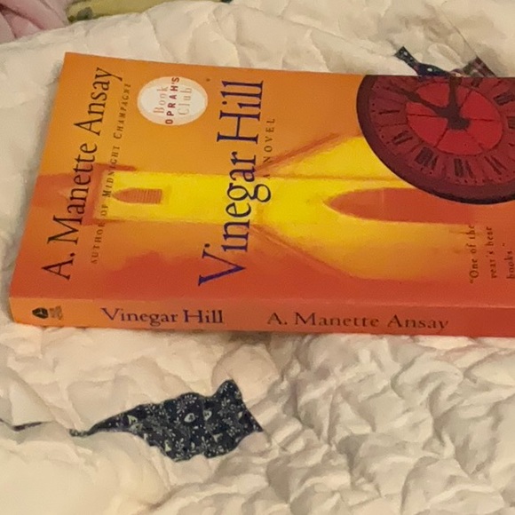 SOLD==Vinegar Hill. A Novel. A. Manette Ansay - Picture 4 of 8